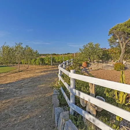 La Littighedda Country Feriehus Rena Majore