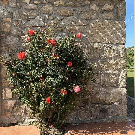 Feriehus La Littighedda Country Rena Majore