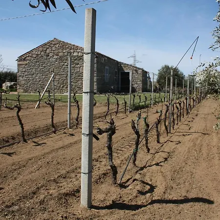 Feriehus La Littighedda Country *