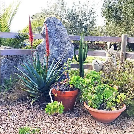 La Littighedda Country *