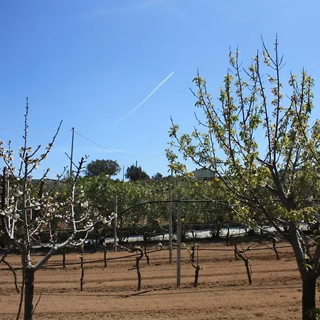 Feriehus La Littighedda Country